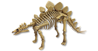 Illustration for article titled Have Your Own Night at the Museum With Fully Posable Dino Skeletons